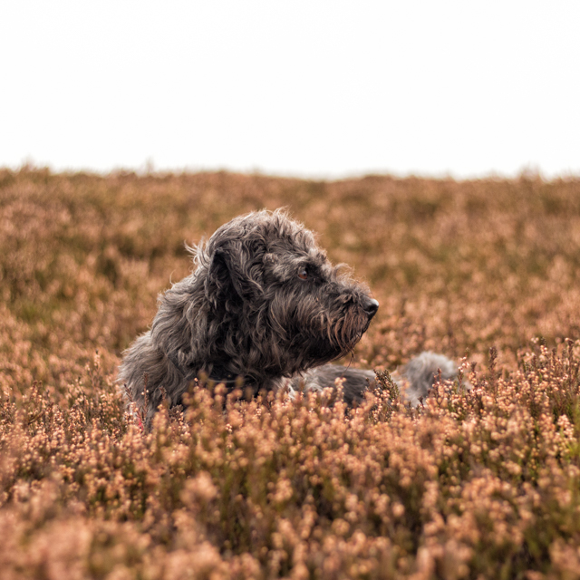 20161027-img_3924-edit