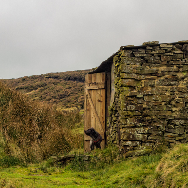 20161027-img_3960-edit