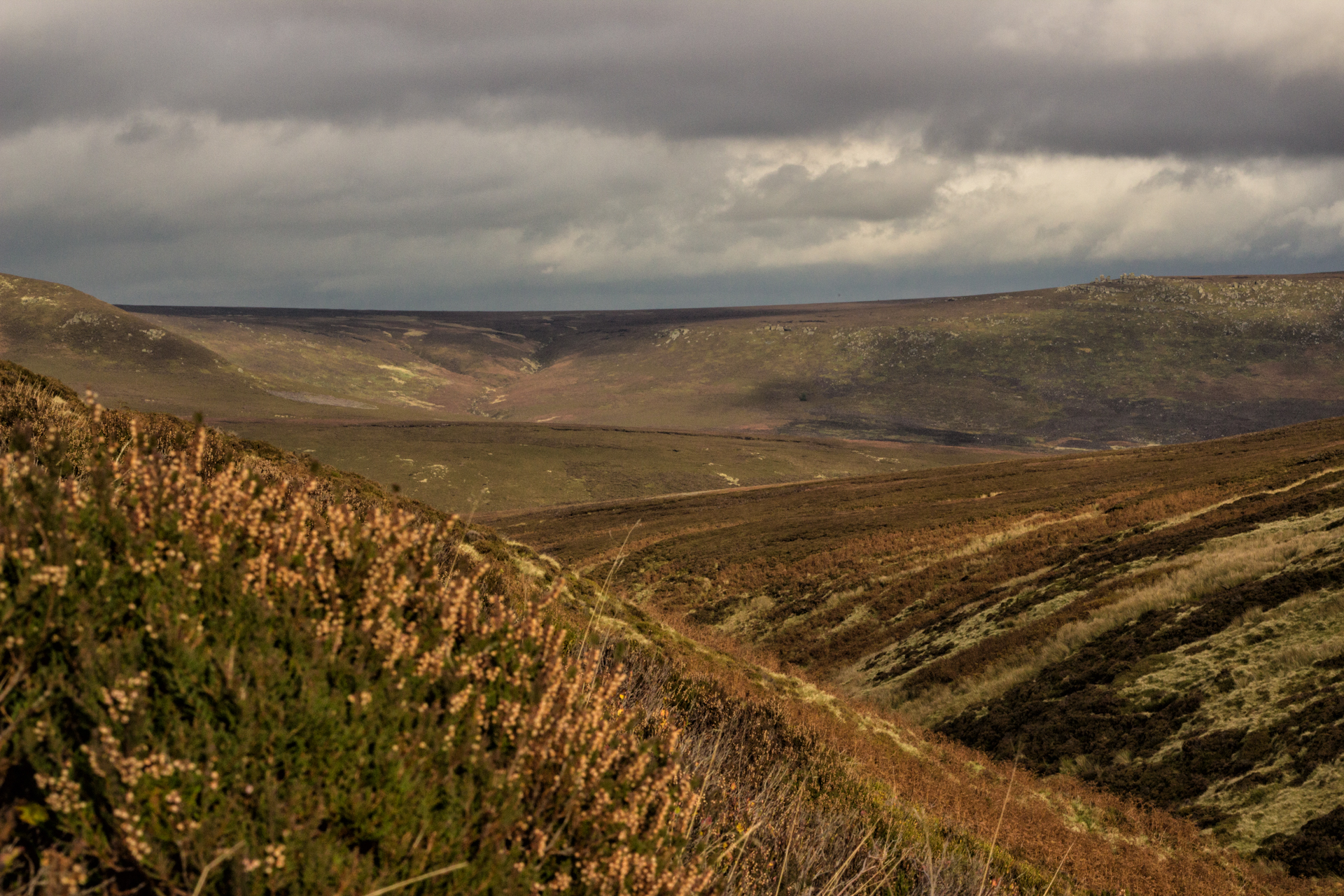 20161027-img_3984-edit