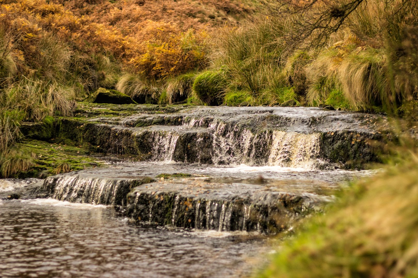 20161027-img_3998-edit