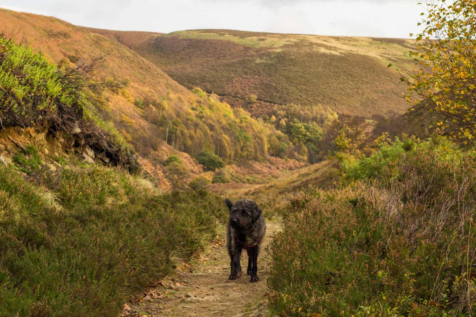 20161027-img_4009-edit